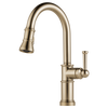 Brizo Artesso® Single Handle Pull Down Kitchen Faucet | 63025LF-GL