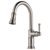 Brizo Artesso® Single Handle Pull Down Kitchen Faucet | 63025LF-GL