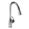 Riobel Kitchen Faucet With Spray | FO101