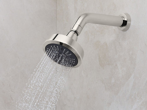 Counterpoint by Barbara Barry Multifunction Showerhead with Arm