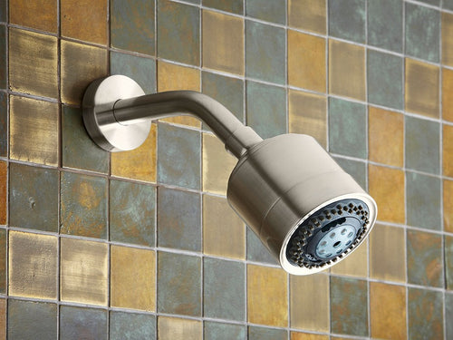 Contemporary Multifunction Showerhead with Arm