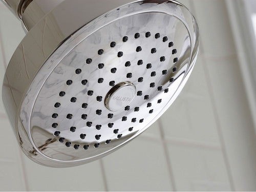 Counterpoint by Barbara Barry Multifunction Showerhead with Arm