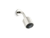 Contemporary Multifunction Showerhead with Arm